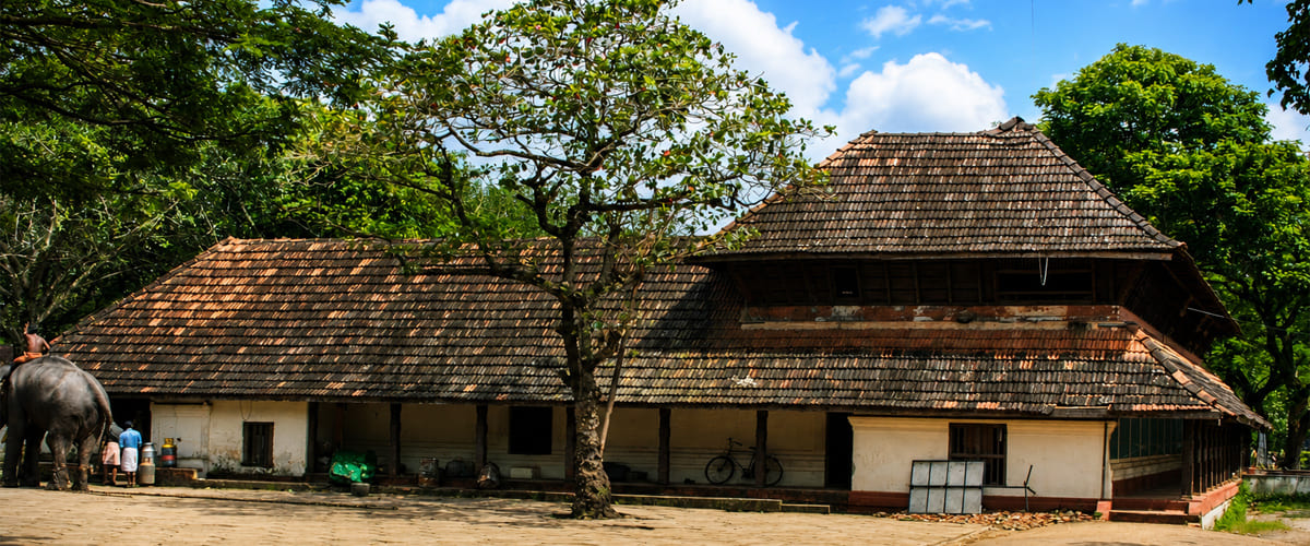 Punnathur Kotta Elephant Sanctuary: A Complete Guide to Guruvayur’s Famous Elephant Sanctuary